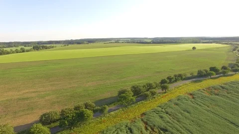 Road between green fields Stock Footage 76638096