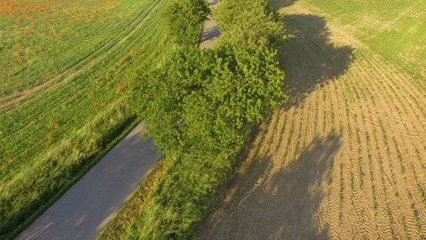 Road between green fields Stock Footage 76638247