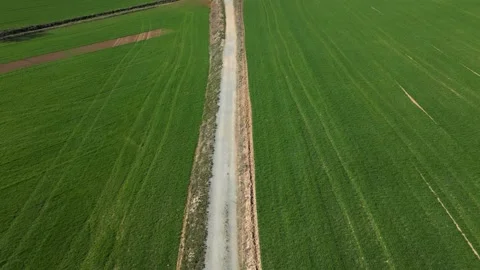 Road between green fields. Path to success and personal development Stock Footage 237924653