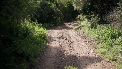 An off road in the between a green jungle Stock Footage 109481189