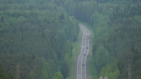 Road between green trees with pines on a sunny summer morning. Nature landscape Stock Footage 201120592
