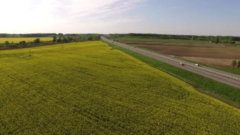 Road between rape canola field Video stock 72600862