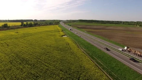Road between rape canola field Video stock 72601027
