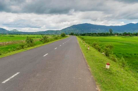 Road between rice fields against the backdrop of mountains covered with greenery Stock Photos