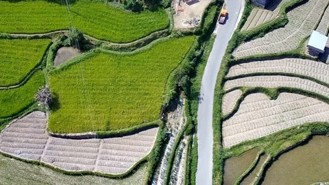 A road between rice fields in the most beautiful village of West Sumatra, Indone 스톡 동영상 207102484