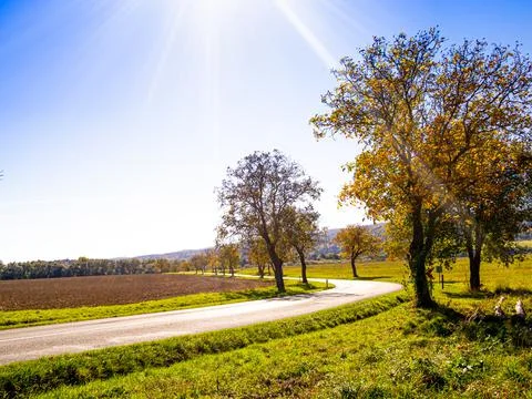 Road between trees and fields with a beautiful view, village road, Stock Photos