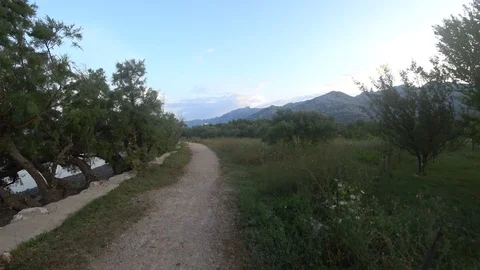 Road between trees and mountains moving ahead sea line is behind the trees Stock Footage 114246297