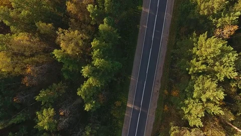 Road between trees at autumn forest. Aerial view of truck driving Stock-Footage 80901316