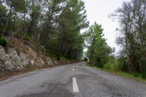 Road between the trees. cycling route of mallorca Stock Photos