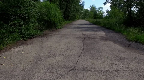 The road between the trees Vidéo 67873579