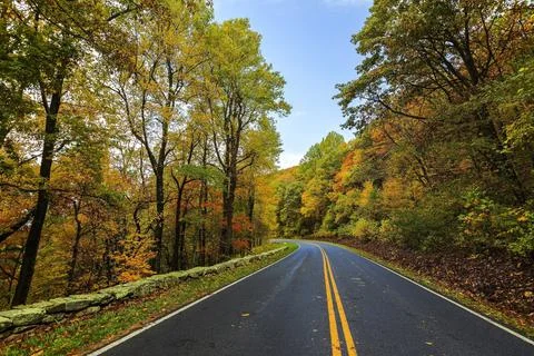 Road Between Trees Nice Beautiful Stock Photos