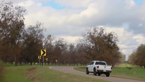 Road between two pecan orhards and a truck Stock Footage 143363760