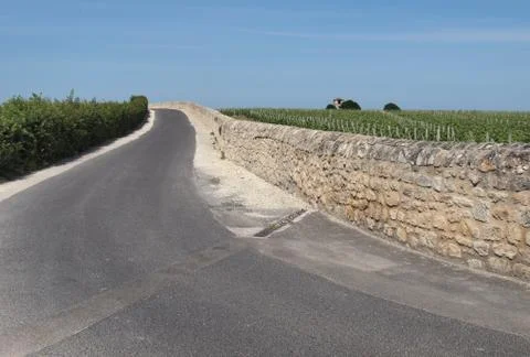 Road between the vineyards Stock Photos