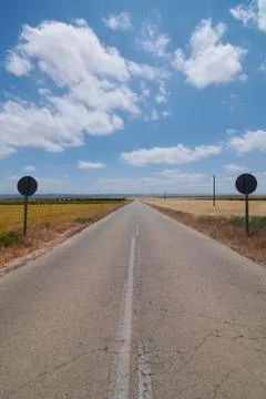 Road between wheat fields before harvest Stock Photos
