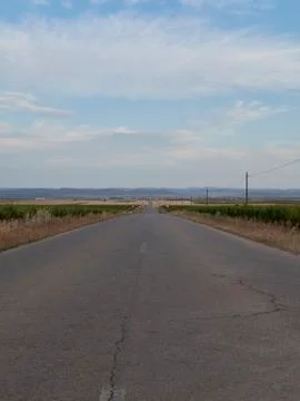 Road between wheat fields before harvest, Stock Photos