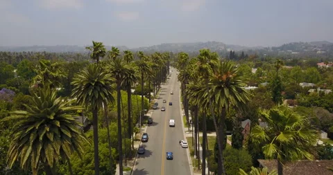 Road in Beverly Hills Stock-Footage 86255719