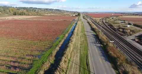 Road with Bikes Stock Footage 98025911