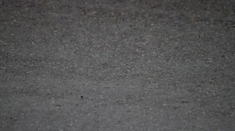 Road on bitumen road Stock Footage 50382099