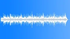Road Blues Stock Music