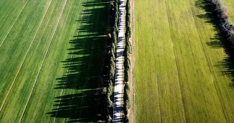 Road to Bolgheri Stock Footage 100671905