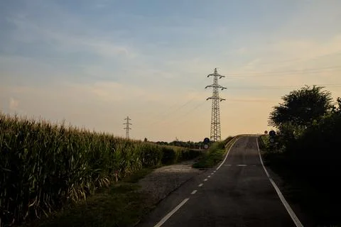 Road bordered by fields in the italian countryside at sunset in summer Stock Photos