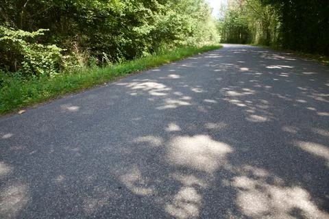 Road bordered by trees and fields in the italian countryside Stock Photos