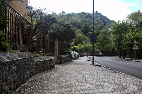 Road bordered by trees in a residential area in the outskirt of an italian to Stock Photos