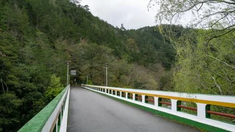 The road bridge with forest mountain at Wuling farm in taichung city, Taiwan. 스톡 사진