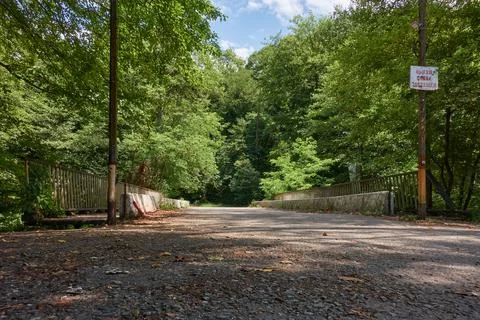 Road bridge in the forest. Stock Photos