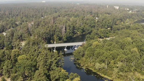 Road bridge on the river is surrounded by forests Stock-Footage 127375919