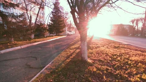 Road with a bright sun at the end of the path, at the golden hour Stock Footage 219984602