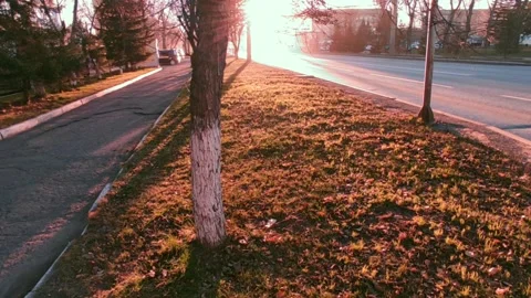 Road with a bright sun at the end of the path, at the golden hour Stock Footage 219984629