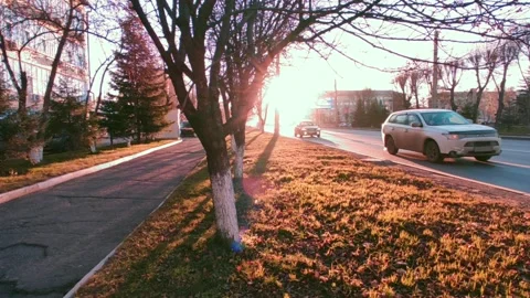 Road with a bright sun at the end of the path, at the golden hour Stock Footage 219984649