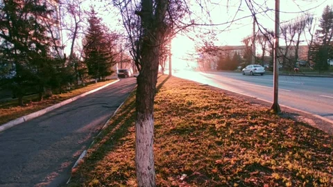 Road with a bright sun at the end of the path, at the golden hour Stock Footage 219984661