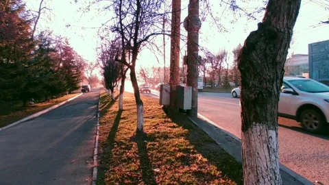 Road with a bright sun at the end of the path, at the golden hour Stock Footage 219984669