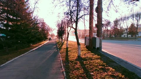 Road with a bright sun at the end of the path, at the golden hour Stock Footage 219984684