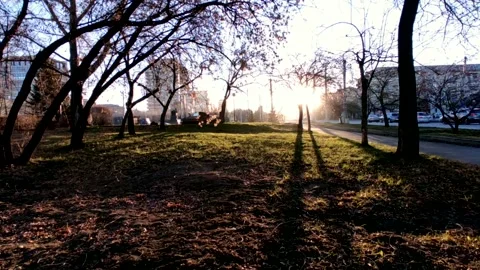 Road with a bright sun at the end of the path, at the golden hour Stock Footage 219989509