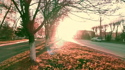 Road with a bright sun at the end of the path, at the golden hour Stock-Footage 219989554