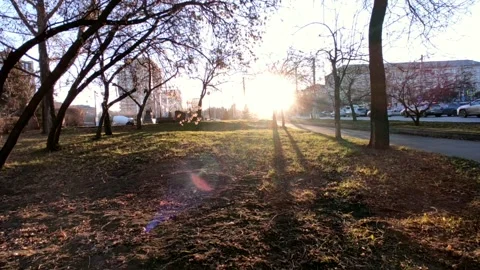 Road with a bright sun at the end of the path, at the golden hour Stock Footage 219989587