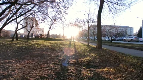 Road with a bright sun at the end of the path, at the golden hour Stock Footage 219989635