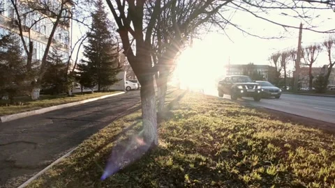 Road with a bright sun at the end of the path, at the golden hour Stock Footage 219989663