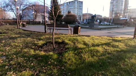 Road with a bright sun at the end of the path, at the golden hour Stock Footage 219989696