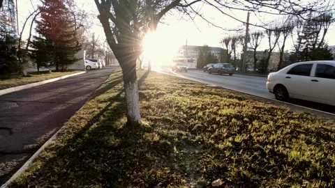 Road with a bright sun at the end of the path, at the golden hour Stock Footage 219989780