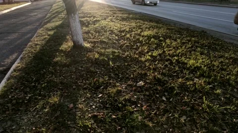 Road with a bright sun at the end of the path, at the golden hour Stock Footage 219989810