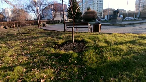 Road with a bright sun at the end of the path, at the golden hour Stock Footage 219989849