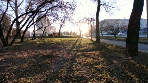 Road with a bright sun at the end of the path, at the golden hour Stock Footage 219989885