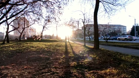 Road with a bright sun at the end of the path, at the golden hour Stock Footage 219989924
