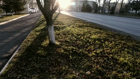 Road with a bright sun at the end of the path, at the golden hour Stock Footage 219989957