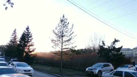 Road with a bright sun at the end of the path, at the golden hour Stock Footage 219992203