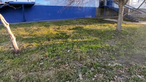 Road with a bright sun at the end of the path, at the golden hour Stock Footage 219992209